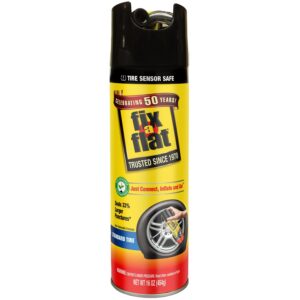 Fix A Flat Emmergency Tire Repair – Standard