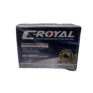 C-Royal 100AH Battery