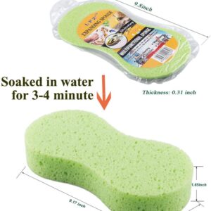 Vacuum Compressed Car Wash Sponge